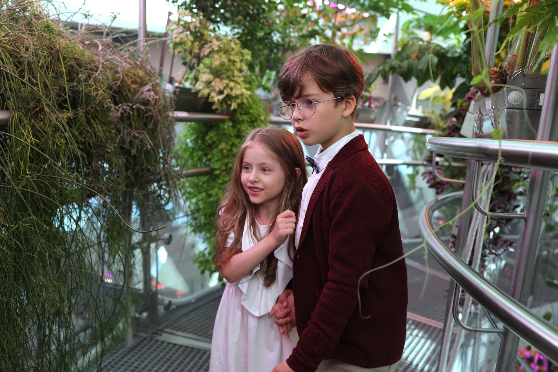 Экспериментальная оранжерея в «Зарядье»